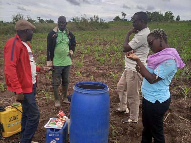 Distribution d'intrants à un groupement de producteurs